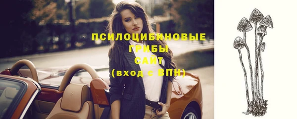 ПСИЛОЦИБИНОВЫЕ ГРИБЫ Гусев