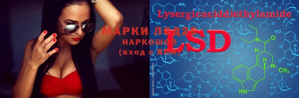 ПСИЛОЦИБИНОВЫЕ ГРИБЫ Гусев