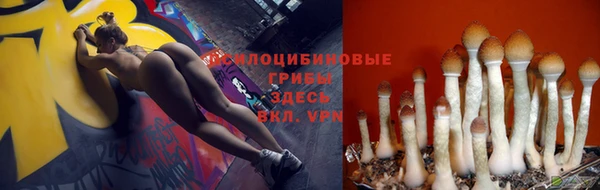 спиды Горнозаводск