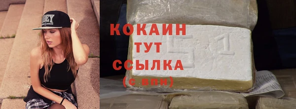 ПСИЛОЦИБИНОВЫЕ ГРИБЫ Гусев
