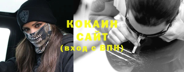 ПСИЛОЦИБИНОВЫЕ ГРИБЫ Гусев
