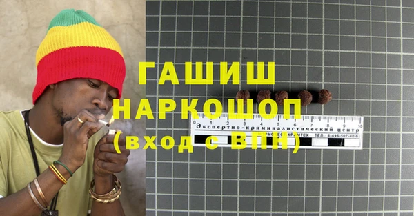 ПСИЛОЦИБИНОВЫЕ ГРИБЫ Гусев