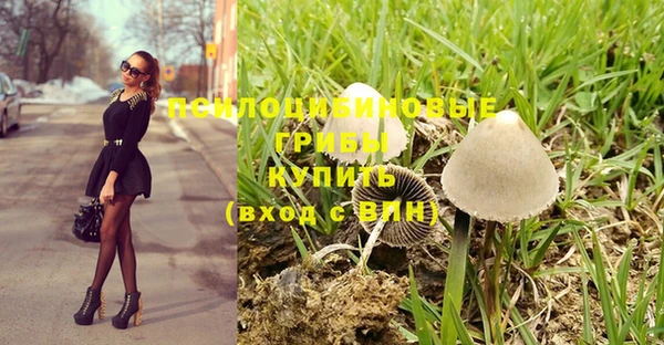 дурь Гусь-Хрустальный