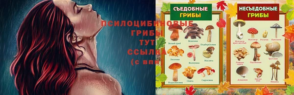 спиды Горнозаводск